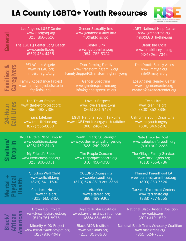 Flyer for Providers and Caregivers: The RISE Program