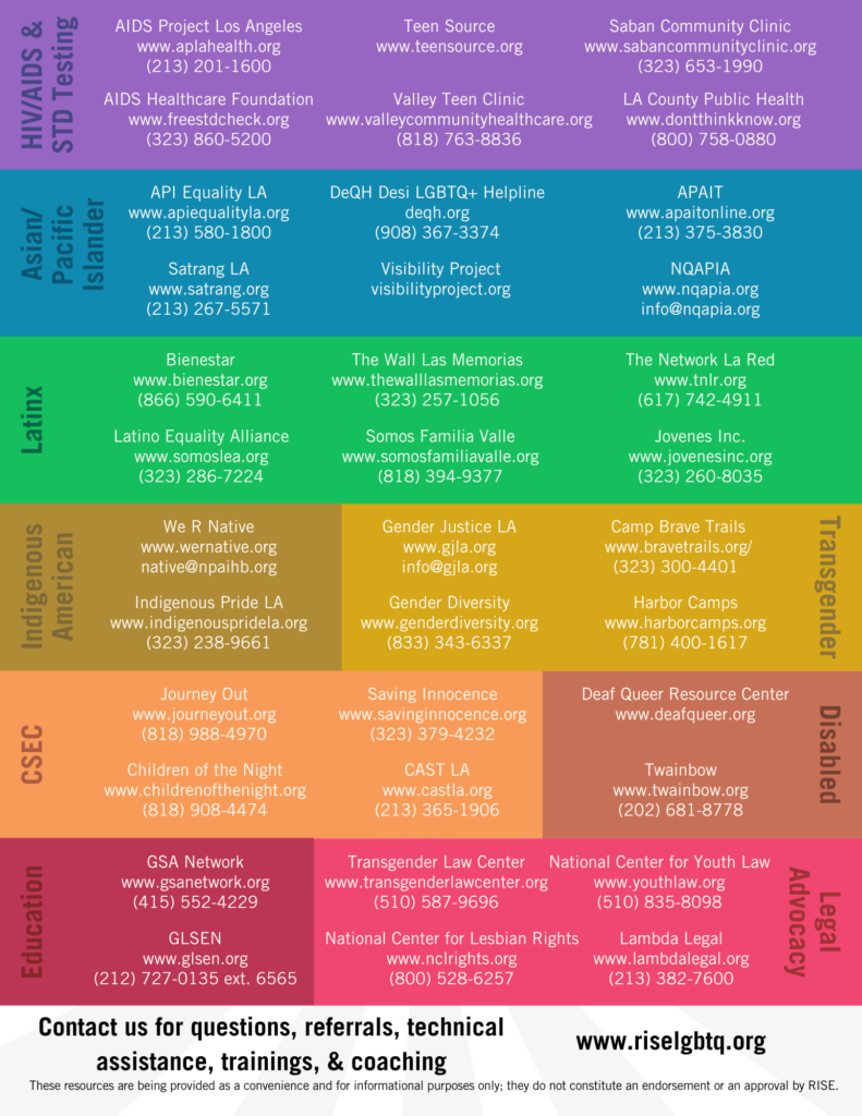 Flyer for Providers and Caregivers: The RISE Program
