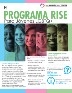 Flyer for Providers and Caregivers: The RISE Program